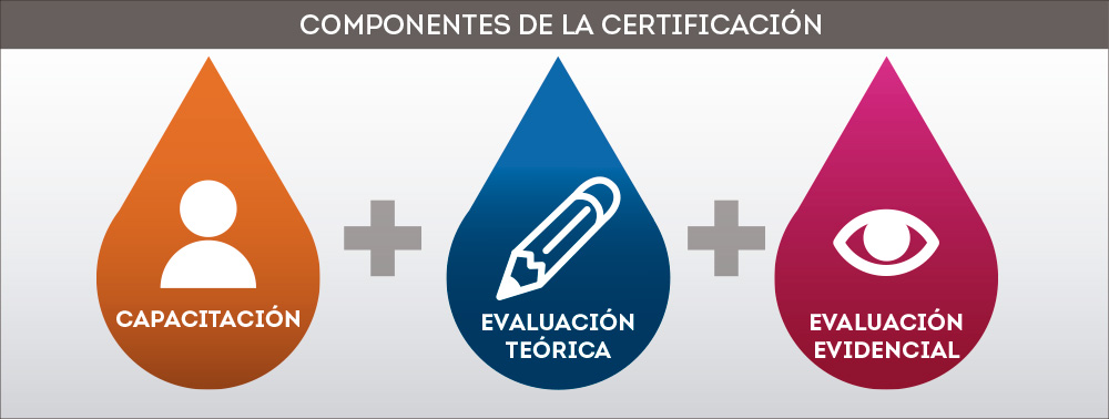 Componentes de la certificación